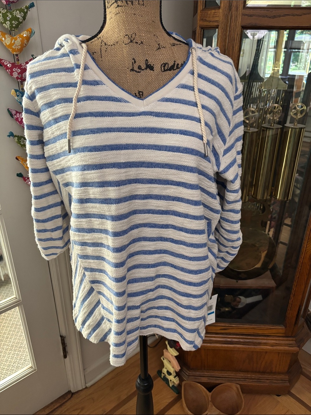 Striped V-Neck Hoodie Sweater in White and Light Blue